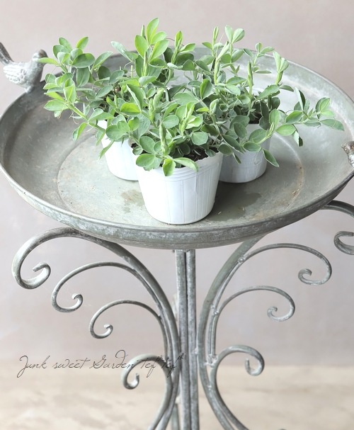 �������ȥԡ� �إޥĥ��ʡ� 