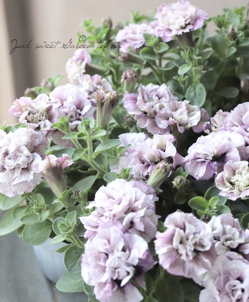 �ڲ����¤��󥪥ꥸ�ʥ�� Ȭ�ź餭�ڥ���˥����ۥ��åץޥ����� �إ��졼�ץѥե���