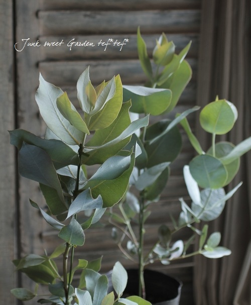 �桼���� �إޥ�������ѡ�