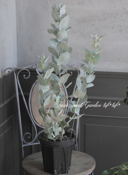 �桼���� �إޥ�������ѡ�