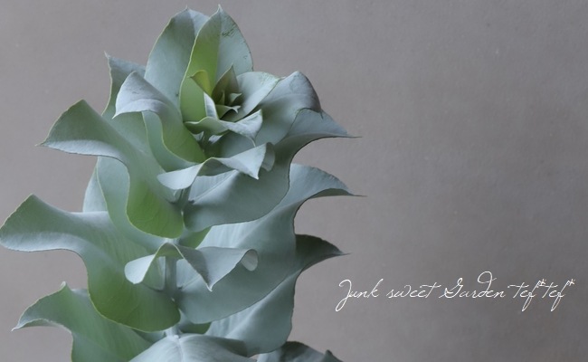 �桼����Υޥ��������Ѥ���