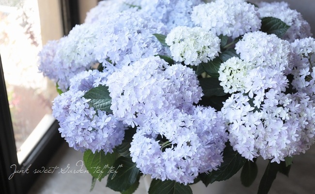 紫陽花 桜のころ 特大サイズ すべての商品 Junk Sweet Garden Tef Tef
