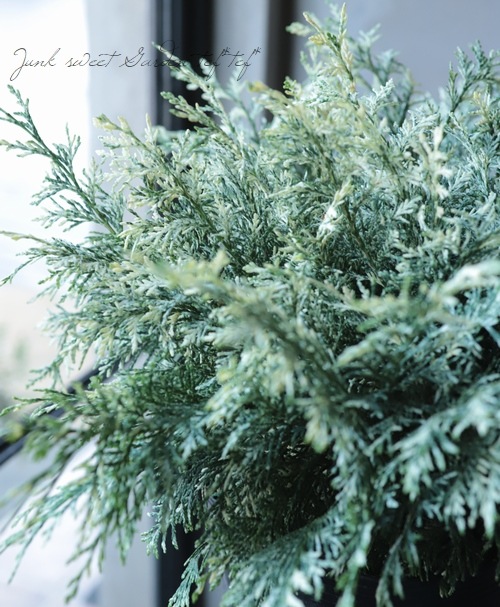 ޥѥꥹʥ᥷ѥꥹꥳ˥եإѡ륹