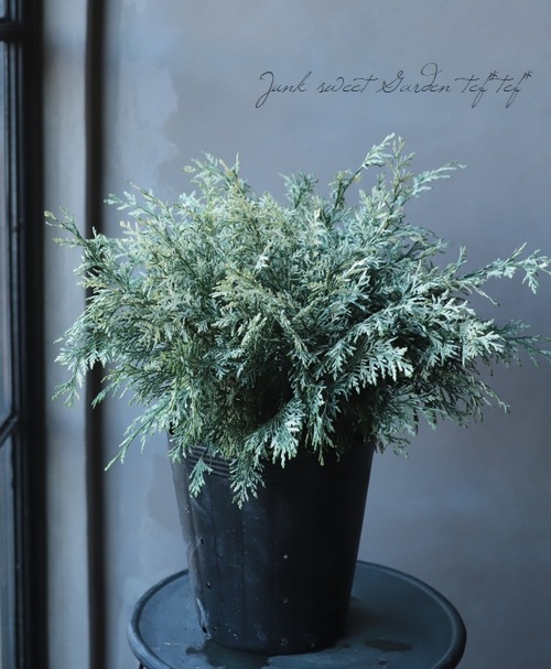 ޥѥꥹʥ᥷ѥꥹꥳ˥եإѡ륹