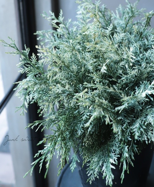 ޥѥꥹʥ᥷ѥꥹꥳ˥եإѡ륹