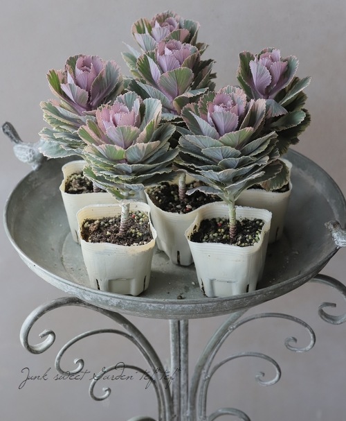 ���ղ�ð����˨�֥ޡ��֥�� 1��Ω��