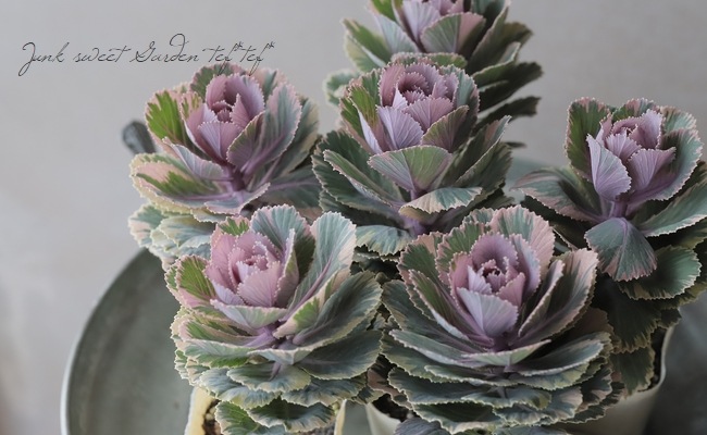 ���ղ�ð����˨�֥ޡ��֥�� 1��Ω��