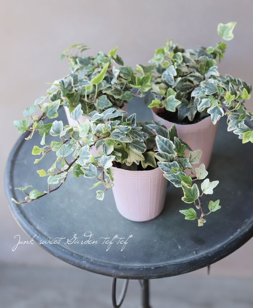 ������إǥ顡�إۥ磻�ȥ��å��١����Ҥ��­�η�