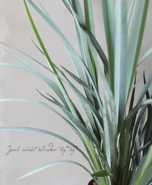 �ǥ����ͥ� �إ����ƥ����֥롼��