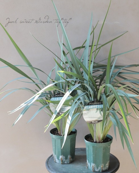 �ǥ����ͥ� �إ����ƥ����֥롼��