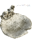 �ڻ��ߡ� �ѹ�SPARTA STATUES ��Frogs on Lily�� �����ǥ󥪡��ʥ���