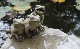 �ڻ��ߡ� �ѹ�SPARTA STATUES ��Frogs on Lily�� �����ǥ󥪡��ʥ���