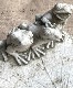 �ڻ��ߡ� �ѹ�SPARTA STATUES ��Frogs on Lily�� �����ǥ󥪡��ʥ���