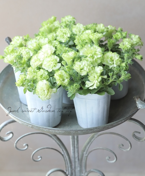 値下げしました★ アトリエルリユール　シュタイナー　植物観察プロジェクト 値下げしました☆ アトリエルリユール シュタイナー 植物観察