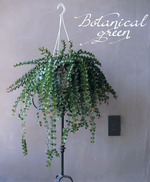 �ڴ��տ�ʪ�ۥǥ������ǥ��� �ߥꥪ��ϡ��� �إ륹���ե��ꥢ��