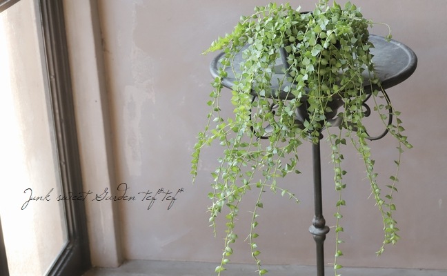 �ڴ��տ�ʪ�ۥǥ������ǥ��� �ߥꥪ��ϡ��� �إ륹���ե��ꥢ��