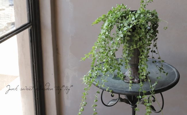 �ڴ��տ�ʪ�ۥǥ������ǥ��� �ߥꥪ��ϡ��� �إ륹���ե��ꥢ��