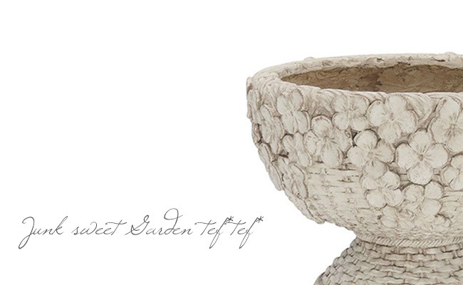 ڻߡۡڷ̡ ꡼Хåȥ֥åSڥܥ꡼