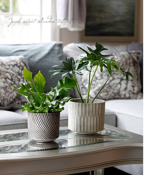 �ڻ��ߡۥݥ����10�ܡ��꥽�ݥå�B �����ܥ꡼