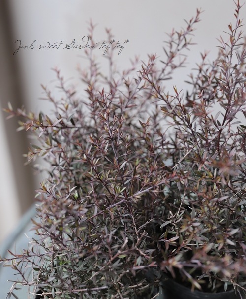 Ƽ�ե����奦�Х�����ץȥ��ڥ�ޥࡡ�إʥ˥塼���֥���