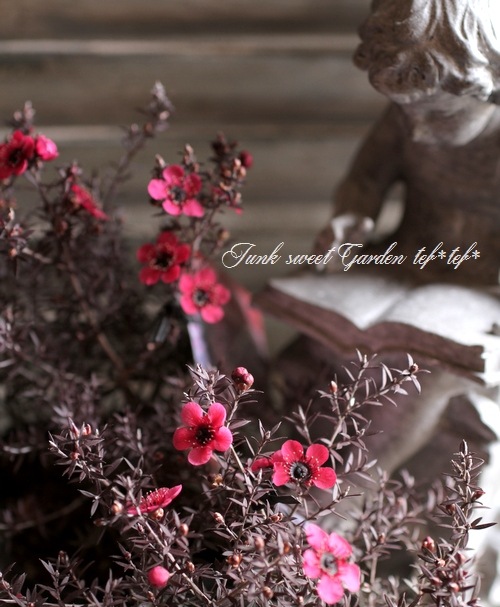 Ƽ�ե����奦�Х�����ץȥ��ڥ�ޥࡡ�إʥ˥塼���֥���