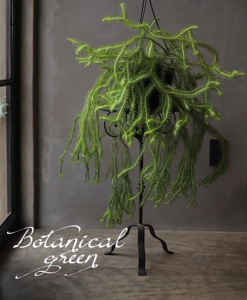 9_000000008148.jpg?1678209903