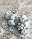 �ڻ��ߡ� �ѹ�SPARTA STATUES ��Mice on Log�� �����ǥ󥪡��ʥ���