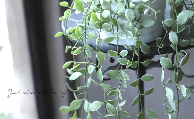 ������ǥ������ǥ������إ�����ɡ١�