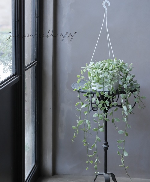 ������ǥ������ǥ������إ�����ɡ١�