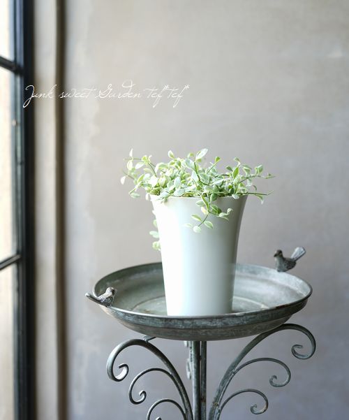 ������ǥ������ǥ������إ�����ɡ١�