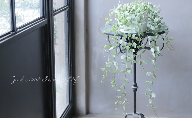 ������ǥ������ǥ������إ�����ɡ١�