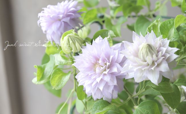 ����ޥ��� �إ٥륪�֥��������󥰡�