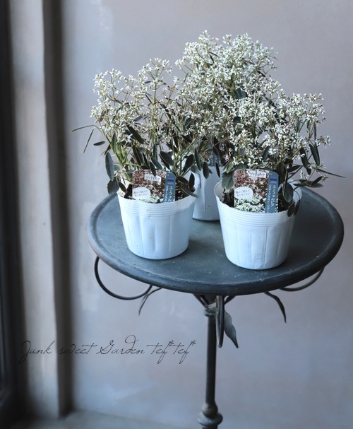 Ƽ�ե桼�ե���ӥ����������֥饹�ȡ��إ��եȥԥ󥯡�