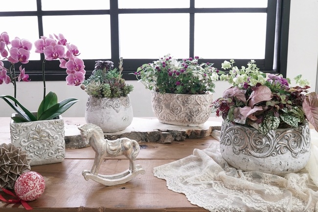 �ڻ��ߡ� ���󥷥��ơ��١����å�M ��M��������