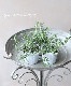 ڥϡ֡ ҵҶޥ꡼إ󥿥СХ  ͵餭¿