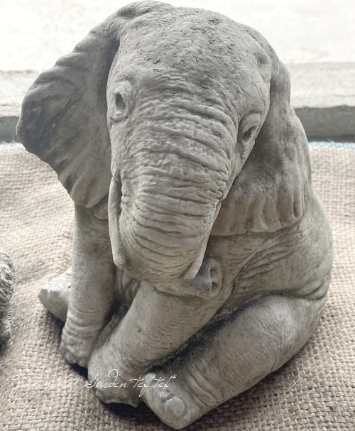 �ڻ��ߡ� �ѹ�SPARTA STATUES ��Elephant Trunk Down�� �����ǥ󥪡��ʥ���