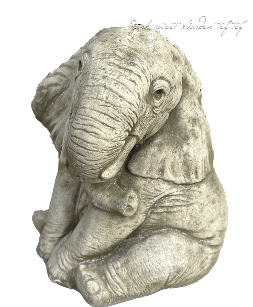 �ڻ��ߡ� �ѹ�SPARTA STATUES ��Elephant Trunk Down�� �����ǥ󥪡��ʥ���