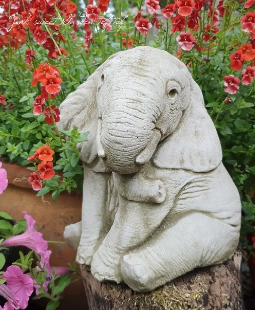 �ڻ��ߡ� �ѹ�SPARTA STATUES ��Elephant Trunk Down�� �����ǥ󥪡��ʥ���