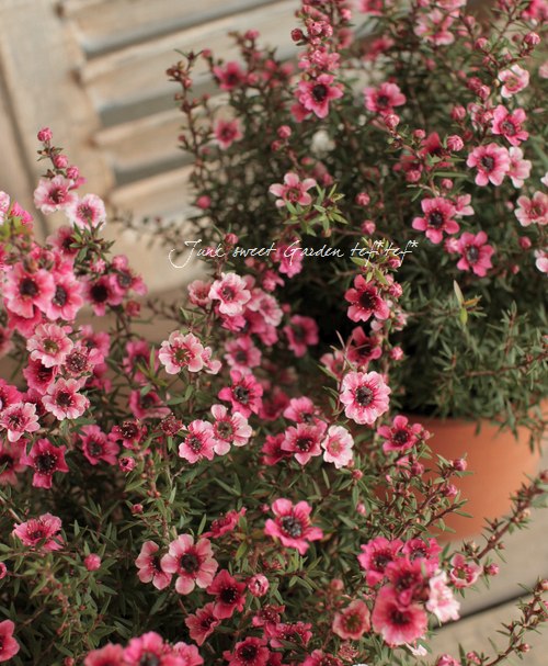 �����˶������в��ڡ�<BR>�إ����奦�Х���5��ȭ