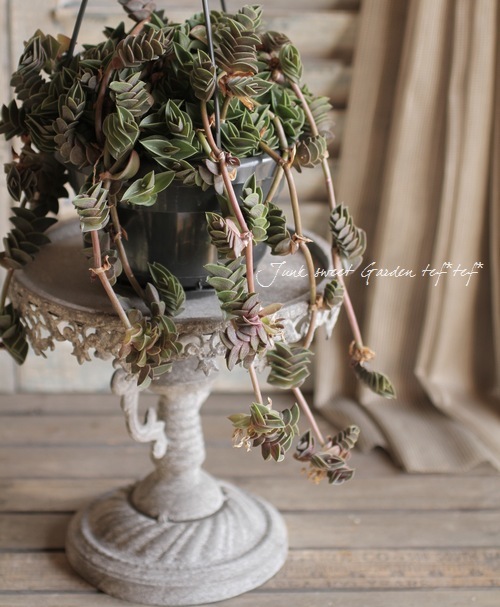 プリズナー ブラインド　CD 帯付き　美品 即配】 CDディスプレイフレーム （CDケース3枚タイプ） ヨコ置き用