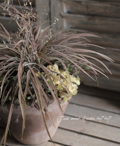 ץƥͥ顡إץåĥ֥å