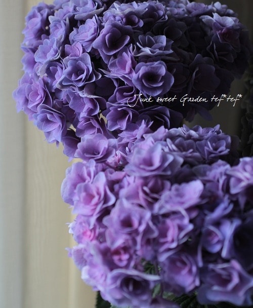 素敵に色付き始めた<BR>八重咲き秋色紫陽花<BR>『ポジーブーケ