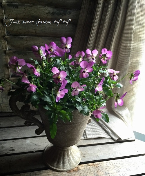 �ߤ�ȥӥ��顡�إҥ��»ΤΥ磻�󥰥饹��