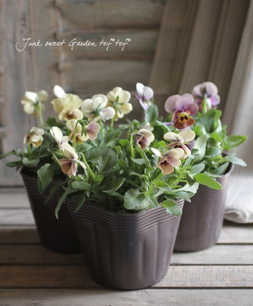 ߤȥӥ顦΢ʼMr.˥å