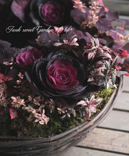 the other flower(花たん)『椿〜楓」6枚+購入特典付 the other flower(花たん)『椿〜楓」6枚+購入特典付 the other