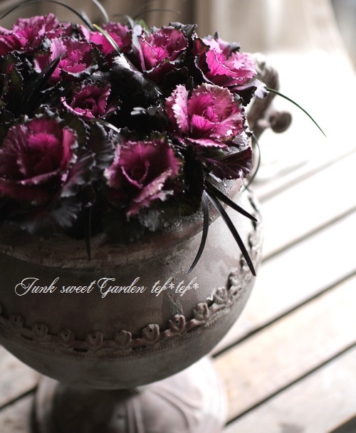 tef*tef*寄せ植え<BR>2014 * no.52 *<BR><BR>『ミニ葉牡丹のオブジェ