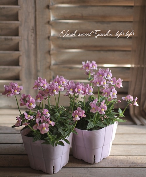 �͵��餭�����ɺ��ͥ᥷�����˥� �إԥ󥯥Х����顼��