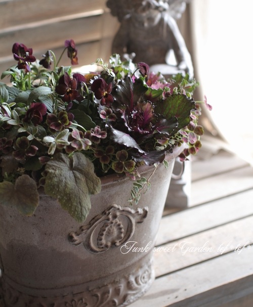 tef*tef*寄せ植え<BR>2014 * no.61 *<BR><BR>『ベージュカラーブリキ