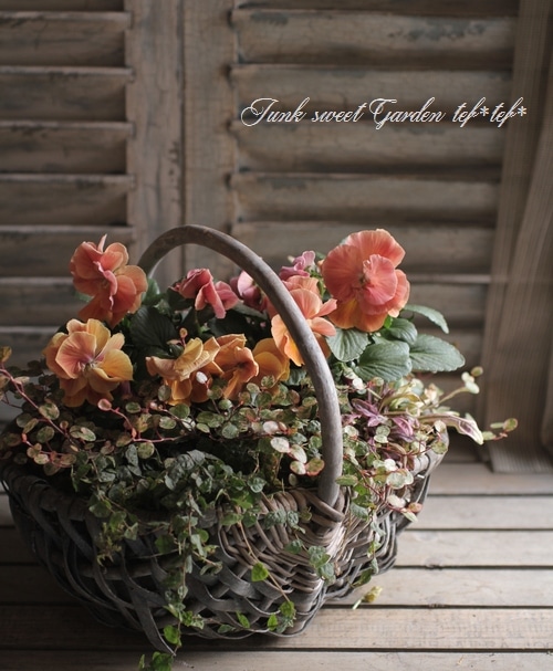 tef*tef*�󤻿���<BR>2015 * no.1 *<BR><BR>Ȭ�ź餭�ѥ󥸡��ΥХ����åȿ���