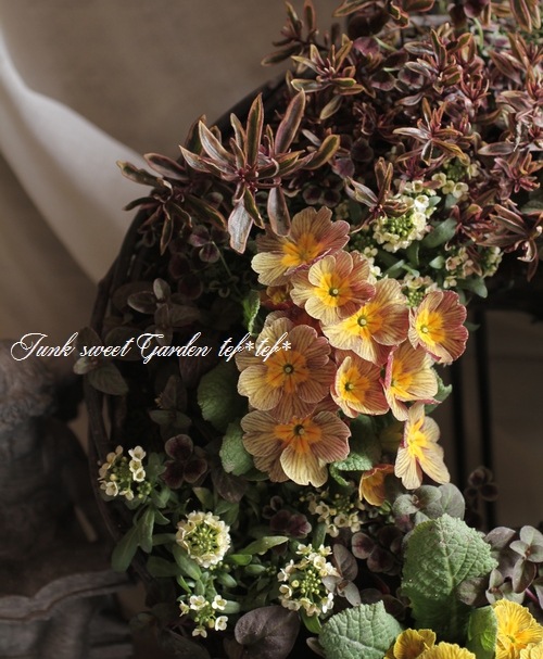 tef*tef*�󤻿����꡼��<BR>>2015 * no.22 *<BR><BR>�ץ���إǥ������Сٻ��ῧ